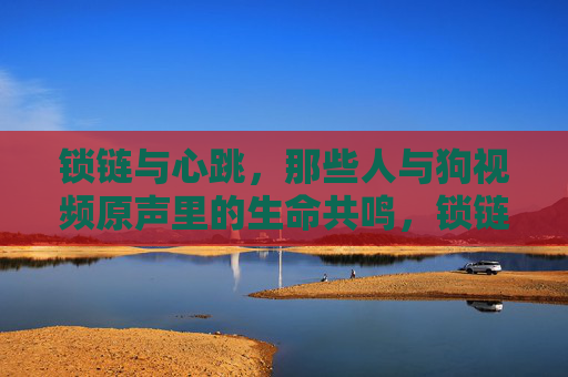 锁链与心跳，那些人与狗视频原声里的生命共鸣，锁链与心跳，人与狗的生命共鸣