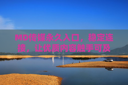 MD传媒永久入口，稳定连接，让优质内容触手可及