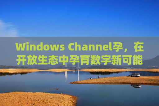 Windows Channel孕，在开放生态中孕育数字新可能，Windows Channel，开放生态孕育数字新可能