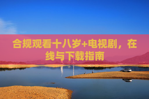合规观看十八岁+电视剧，在线与下载指南
