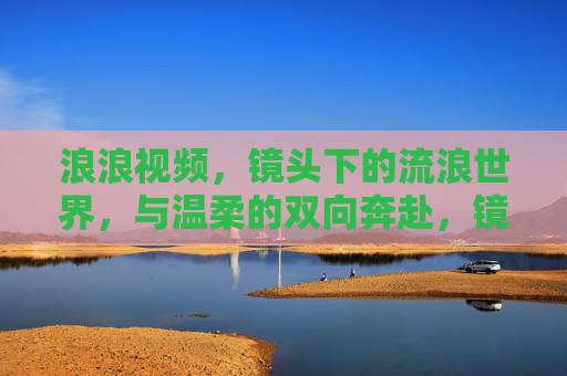 浪浪视频，镜头下的流浪世界，与温柔的双向奔赴，镜头下的流浪世界，温柔的双向奔赴
