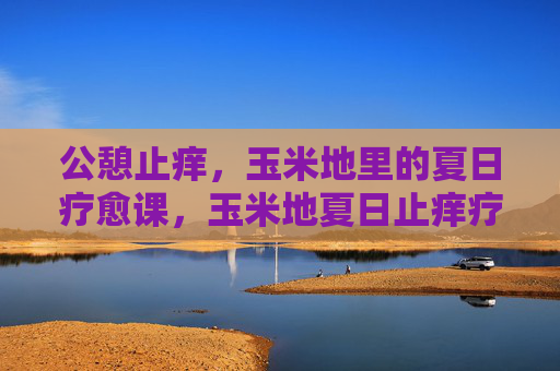 公憩止痒，玉米地里的夏日疗愈课，玉米地夏日止痒疗愈课
