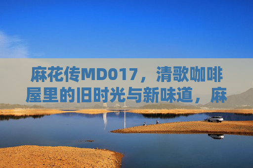麻花传MD017，清歌咖啡屋里的旧时光与新味道，麻花传×清歌咖啡屋，旧时光与新味道