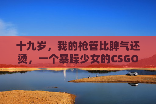 十九岁，我的枪管比脾气还烫，一个暴躁少女的CSGO生存记，枪管烫脾气躁，十九岁CSGO少女生存记