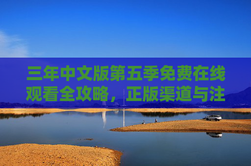 三年中文版第五季免费在线观看全攻略，正版渠道与注意事项，三年中文版第五季免费观看全攻略，正版渠道与注意事项