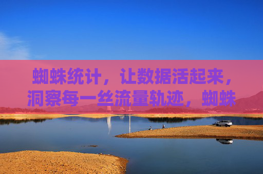 蜘蛛统计，让数据活起来，洞察每一丝流量轨迹，蜘蛛统计，让数据活，洞察流量轨迹