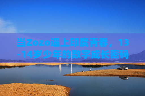当Zozo遇上印度青春，13-14岁少年的数字成长密码，Zozo遇上印度青春，13-14岁少年的数字成长密码