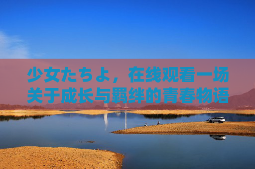 少女たちよ，在线观看一场关于成长与羁绊的青春物语，少女成长羁绊物语