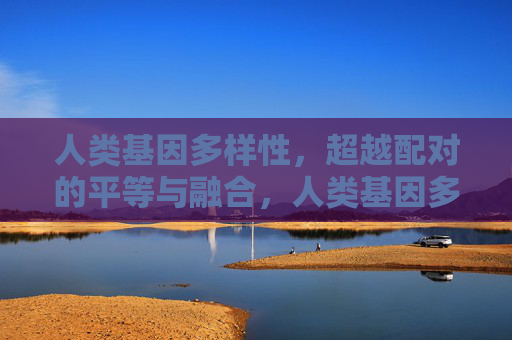 人类基因多样性，超越配对的平等与融合，人类基因多样性，超越配对的平等与融合
