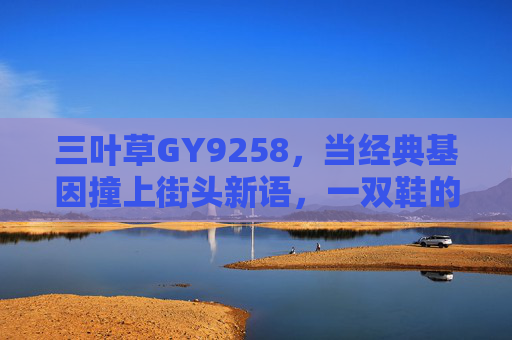 三叶草GY9258，当经典基因撞上街头新语，一双鞋的潮流进化论，三叶草GY9258，经典基因撞街头新语的潮流进化论