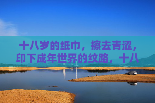 十八岁的纸巾，擦去青涩，印下成年世界的纹路，十八岁的纸巾，擦去青涩，印下成年纹路