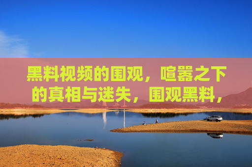 黑料视频的围观,喧嚣之下的真相与迷失,围观黑料,喧嚣之下的真相与迷失 黑料视频的围观,喧嚣之下的真相与迷失,围观黑料,喧嚣之下的真相与迷失