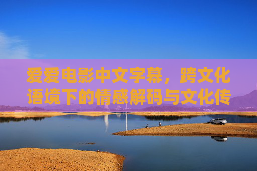 爱爱电影中文字幕，跨文化语境下的情感解码与文化传播，跨文化语境下爱爱电影字幕的情感解码与文化传播
