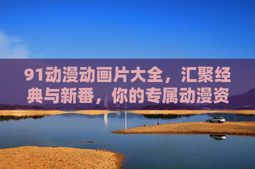 91动漫动画片大全，汇聚经典与新番，你的专属动漫资源库，91动漫动画片大全，经典与新番专属资源库