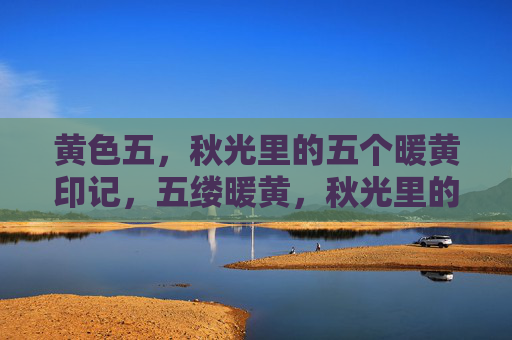 黄色五，秋光里的五个暖黄印记，五缕暖黄，秋光里的印记