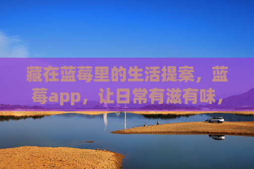 藏在蓝莓里的生活提案，蓝莓app，让日常有滋有味，蓝莓app，藏在蓝莓里的生活提案，让日常有滋有味