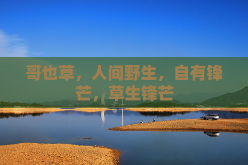 哥也草，人间野生，自有锋芒，草生锋芒