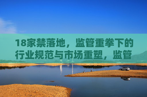 18家禁落地，监管重拳下的行业规范与市场重塑，监管重拳下，18家禁落地，行业规范与市场重塑