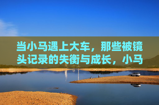 当小马遇上大车,那些被镜头记录的失衡与成长,小马与大车,镜头下的失衡与成长 当小马遇上大车,那些被镜头记录的失衡与成长,小马与大车,镜头下的失衡与成长