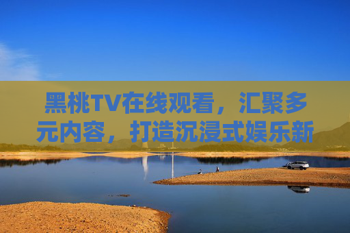 黑桃TV在线观看，汇聚多元内容，打造沉浸式娱乐新体验，黑桃TV，多元内容汇聚，沉浸式娱乐新体验