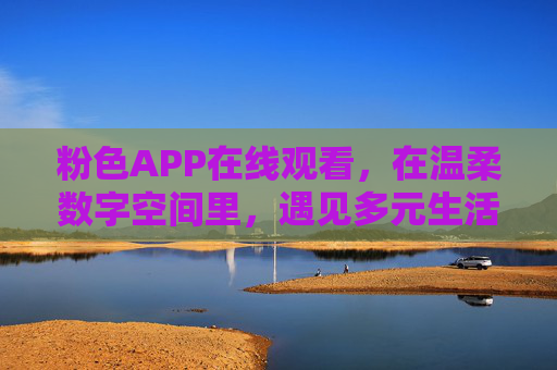 粉色APP在线观看，在温柔数字空间里，遇见多元生活与治愈时光，温柔数字空间，粉色APP的多元生活与治愈时光