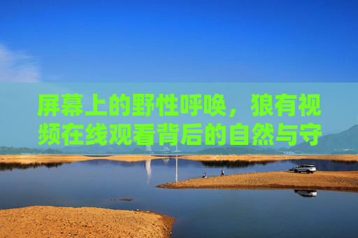 屏幕上的野性呼唤,狼有视频在线观看背后的自然与守护,屏幕野性呼唤,狼视频背后的自然守护 屏幕上的野性呼唤,狼有视频在线观看背后的自然与守护,屏幕野性呼唤,狼视频背后的自然守护