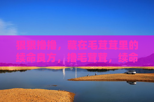 狠狠撸撸,藏在毛茸茸里的续命良方,撸毛茸茸,续命良方 狠狠撸撸,藏在毛茸茸里的续命良方,撸毛茸茸,续命良方