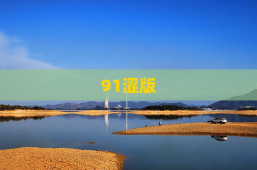 91涩版