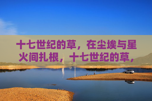 十七世纪的草,在尘埃与星火间扎根,十七世纪的草,尘埃星火间扎根 十七世纪的草,在尘埃与星火间扎根,十七世纪的草,尘埃星火间扎根