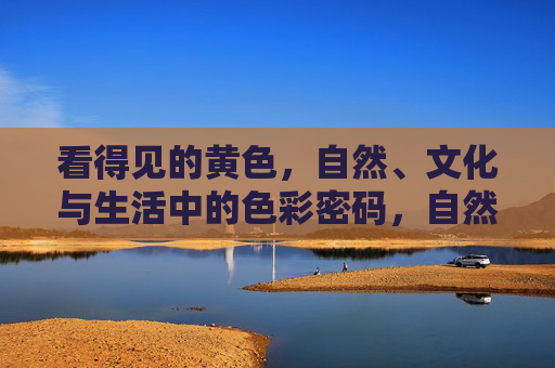 看得见的黄色,自然、文化与生活中的色彩密码,自然、文化与生活中的黄色密码 看得见的黄色,自然、文化与生活中的色彩密码,自然、文化与生活中的黄色密码