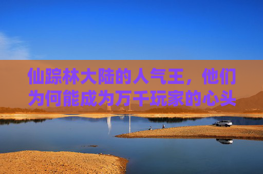 仙踪林大陆的人气王，他们为何能成为万千玩家的心头好？仙踪林大陆人气王，万千玩家心头好之谜？