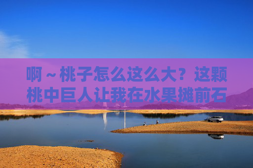 啊～桃子怎么这么大？这颗桃中巨人让我在水果摊前石化，桃中巨人！水果摊前石化