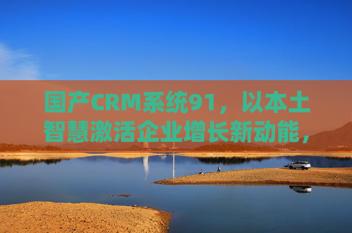 国产CRM系统91，以本土智慧激活企业增长新动能，国产CRM系统91，本土智慧激活企业增长新动能