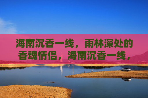 海南沉香一线，雨林深处的香魂情侣，海南沉香一线，雨林深处的香魂情侣