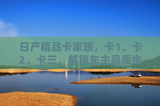 日产精品卡家族，卡1、卡2、卡三，解锁车主品质生活新维度，日产精品卡家族，解锁车主品质生活新维度