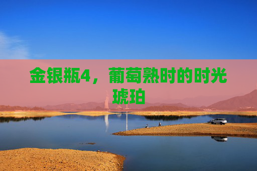 金银瓶4，葡萄熟时的时光琥珀