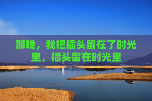 那晚，我把插头留在了时光里，插头留在时光里