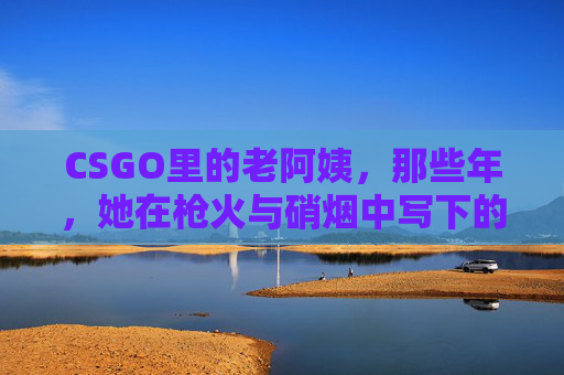 CSGO里的老阿姨，那些年，她在枪火与硝烟中写下的经典篇章，CSGO老阿姨，枪火硝烟中的经典篇章