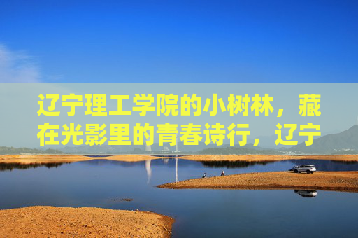 辽宁理工学院的小树林，藏在光影里的青春诗行，辽宁理工学院小树林，青春的光影诗行