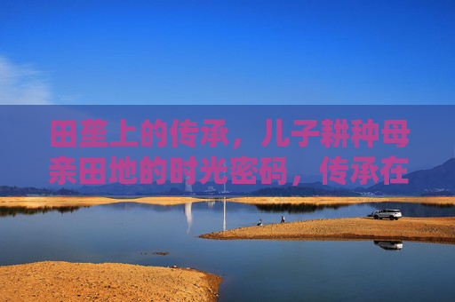 田垄上的传承，儿子耕种母亲田地的时光密码，传承在田垄，儿子耕种母亲的时光密码