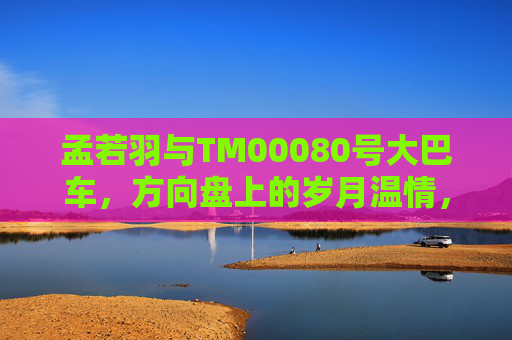 孟若羽与TM00080号大巴车，方向盘上的岁月温情，孟若羽与TM00080号大巴车，方向盘上的岁月温情
