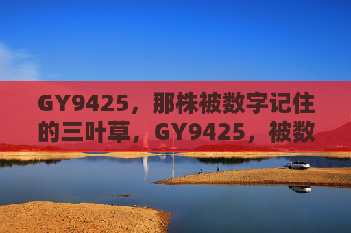 GY9425，那株被数字记住的三叶草，GY9425，被数字记住的三叶草