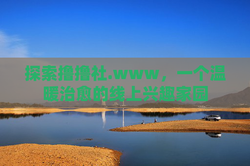 探索撸撸社.www，一个温暖治愈的线上兴趣家园