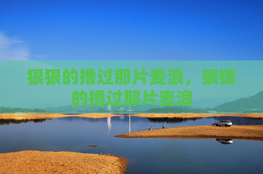 狠狠的撸过那片麦浪，狠狠的撸过那片麦浪