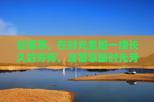 含蓄草，在时光里酿一缕长久的芬芳，含蓄草酿时光芳
