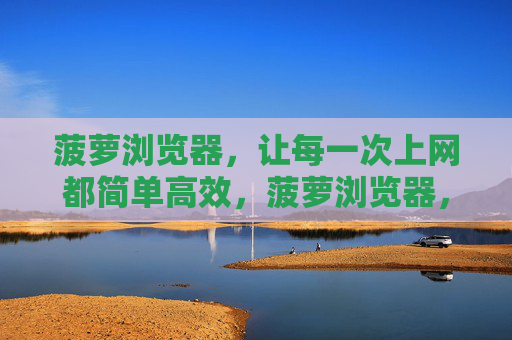 菠萝浏览器，让每一次上网都简单高效，菠萝浏览器，简单高效的上网体验