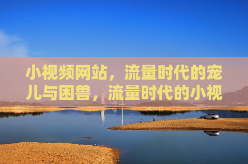 小视频网站，流量时代的宠儿与困兽，流量时代的小视频网站，宠儿与困兽