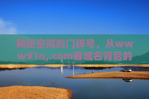 网络空间的门牌号，从www91n,.com看域名背后的信息传播逻辑，网络空间的门牌号，域名背后的信息传播逻辑