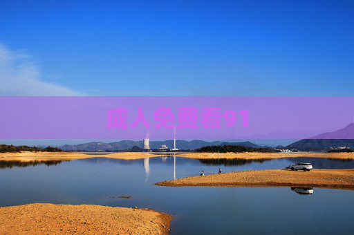 成人免费看91