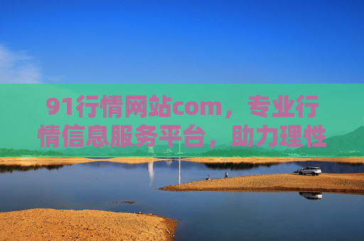 91行情网站com，专业行情信息服务平台，助力理性投资决策，91行情，专业行情服务平台，助力理性投资决策